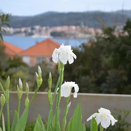Casa Anica *